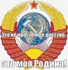  Pavlovich35