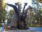   andrey122777